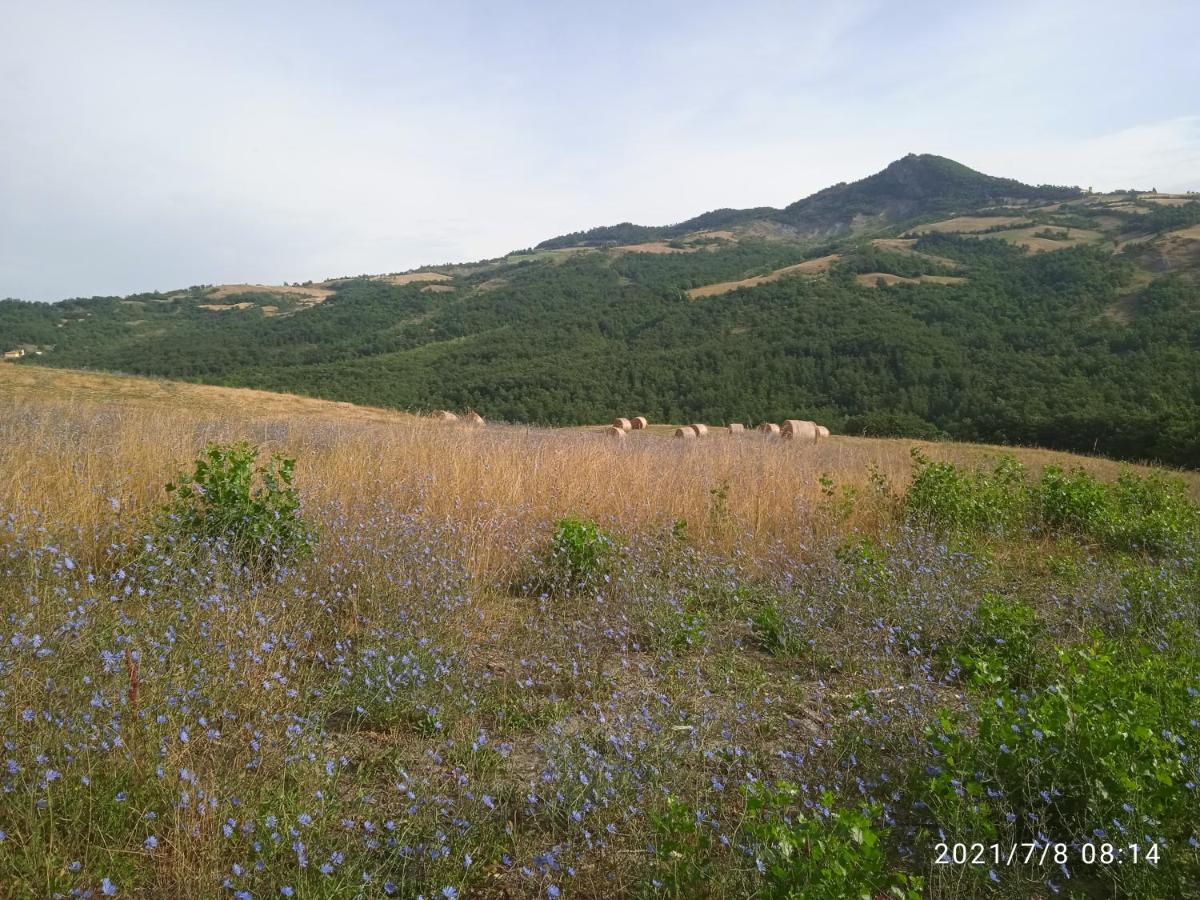 Due Principi E Una Fata Sestola Extérieur photo